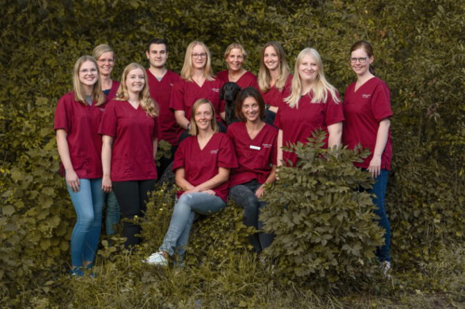 Das Team der Kleintierpraxis Löbert in Einbeck